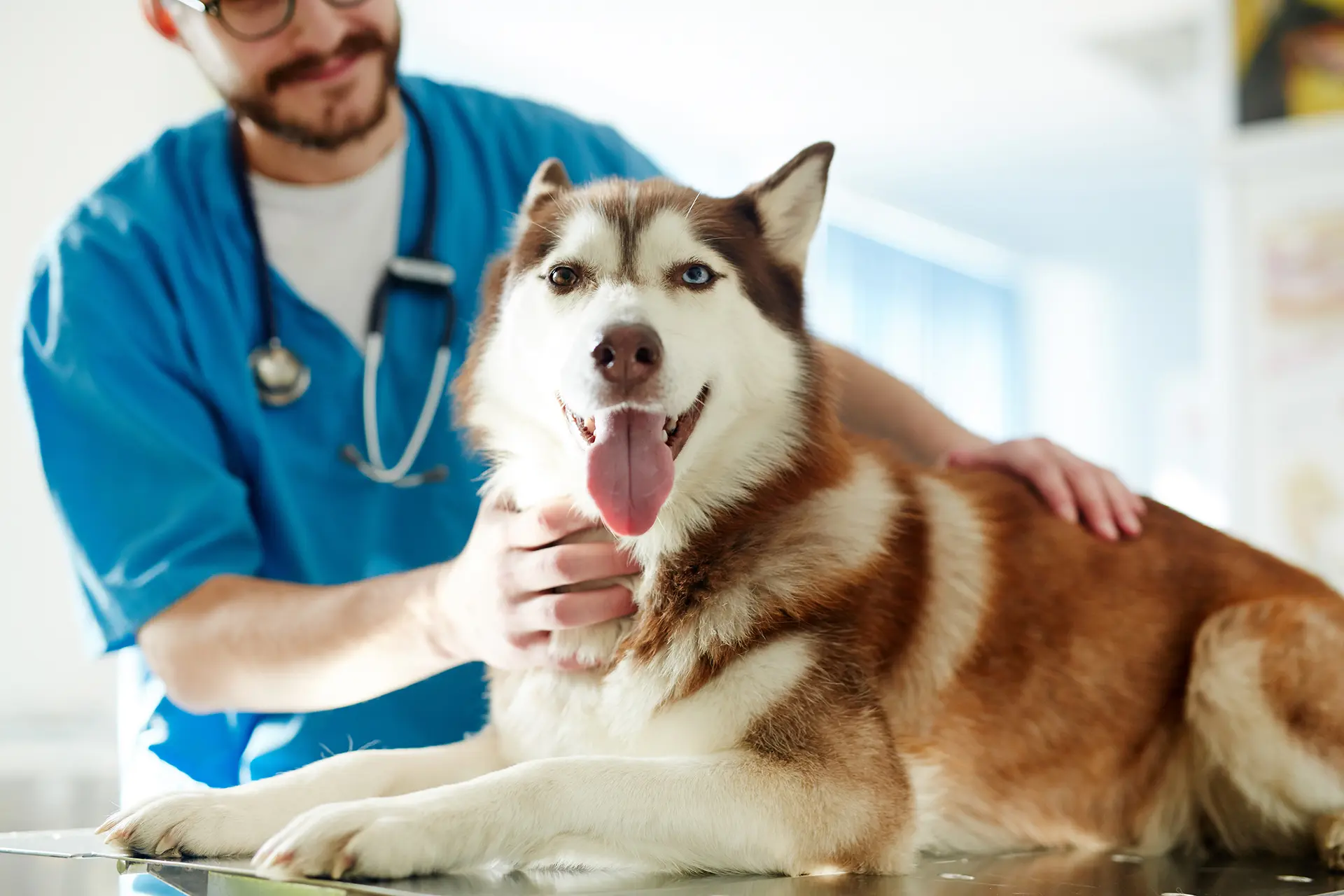 Health Care Plans